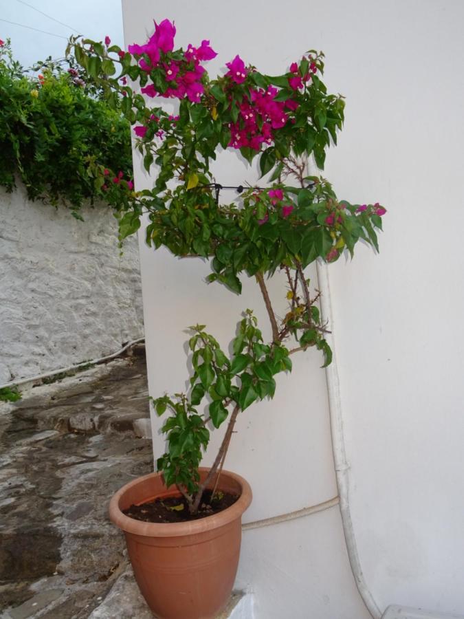 Fotis House Villa Koróni Eksteriør bilde